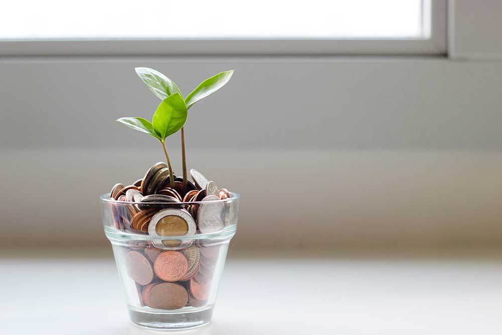 Económica Planta con monedas en el fondo