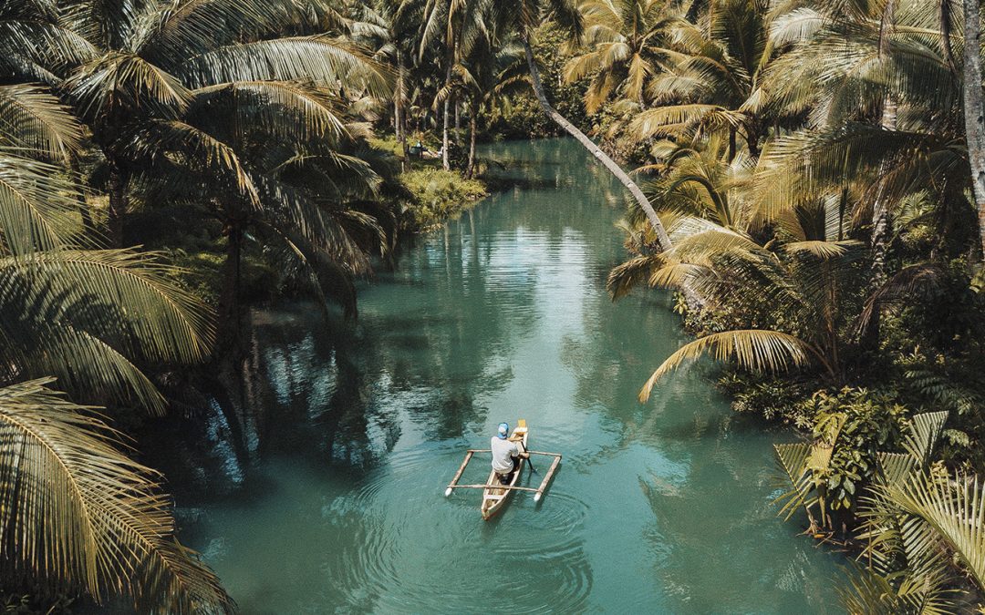 Piragua en medio de la selva