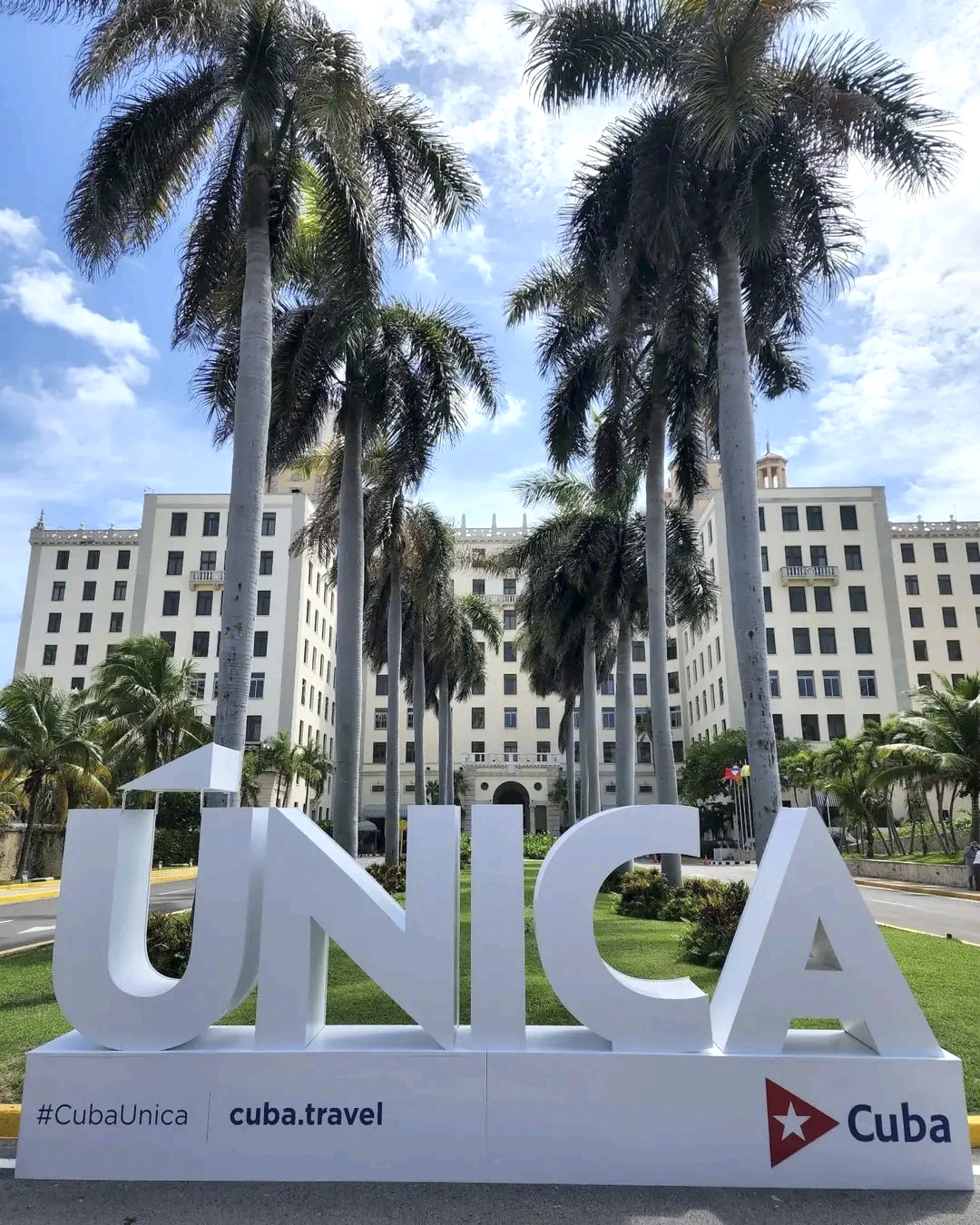 campaña única en un parque